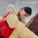 다미노 뷰티(Damino beauty)