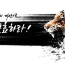 이순신MBA태권도장 이미지