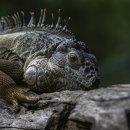 3구 4구 당구장 이미지