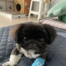 유스동물병원 이미지