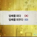 갑주유소 네이버블로그