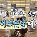 서울 홍대 가볼만한곳 추천 실내 데이트코스 이색적인 놀곳 이미지