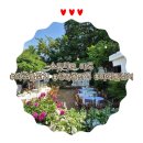 (야간)(심리학을통해본)부모상담 | [스튜디오 아로] 아로돌잔치 야외돌잔치 답사 후기