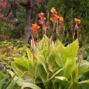 춘식농장 이미지