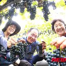 박종진 농장 이미지