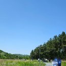 대구 걸리버막창, 포장 + 대구삼성라이온즈파크 / 내돈내산 솔직후기