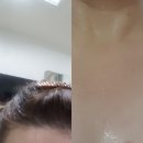 김뽀홈트 이미지