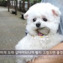 없음 이미지
