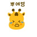 신코다리 이미지