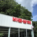 비룡상회 이미지