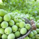 더블유 스포츠 이미지