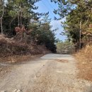 구암마을진입로 이미지