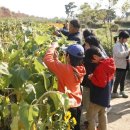 한강시민공원(자연학습장) 이미지