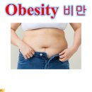 ["비만 Obesity"] / 리업필라테스 도봉동실내스포츠센터 이미지