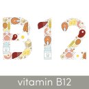 B12 이미지