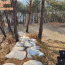 비조곡지 이미지