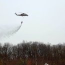 곡성-005 네이버블로그