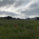쉬고팡 민박 | 행복한 일상 - 제주도2