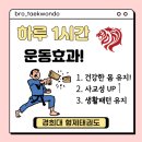 경희대 형제 태권도장 이미지