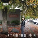 여산 행정·문화연구소 | 미국 인턴십 후기! 뉴저지 대형 유통 본사 글로벌 바잉 인턴 Part 2