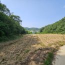 효령면사무소 이미지