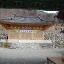 기룡산입구 Daum카페