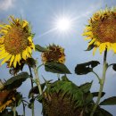 학자농장 이미지