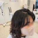 진주미용실 네이버블로그