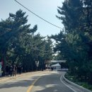 송정어린이공원 | 강릉행사 17주년 2025년 강릉커피축제 송정해변 안목 첫날 방문후기