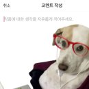 2026 2월 영화 정산