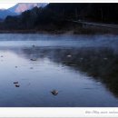 물안개민박 이미지