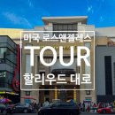 [미국 로스앤젤레스 여행_Tour] LA 문화의 상징 할리우드 대로 (feat. 비벌리 힐스)