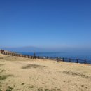 하모리-41 이미지