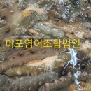 미포영어조합법인 이미지