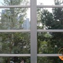 한국크레인협회 | 센텀파크뷰서희아파트 방음벽 조류충돌방지 버드테이프 시공후기