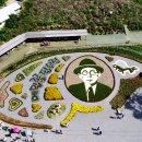 이효석문화예술촌 이미지