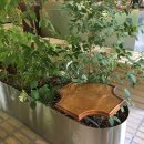 약초원한약국 이미지