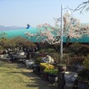 장도민박 이미지