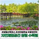 축복어린이집 | 창원 아기랑 가볼만한 곳 창원수목원 산책하기 좋아요 데이트 추천