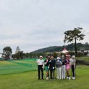 뉴파크장 이미지