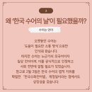 하나언어 티스토리