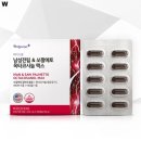 바디스콥 이미지