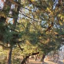 동해시근로자 종합복지회관 이미지