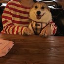 복자카페 이미지