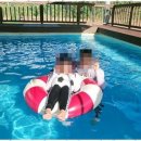 안면도카사블랑카