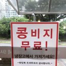 콩밭 뜰 네이버블로그