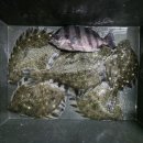 용인실내바다낚시터 이미지