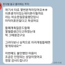 아몽 | 타로아몽의 후기, 소감