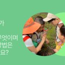 맘숲놀이연구소