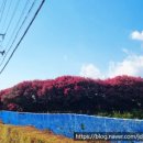 남원읍-99 이미지